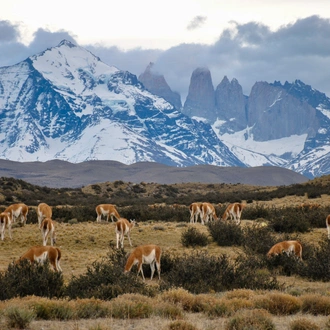 tourhub | Collette | Patagonia: Edge of the World featuring Argentina, Chile, and a 4-Night Patagonia Cruise 