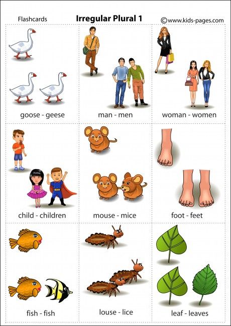 die-besten-25-irregular-plural-nouns-worksheet-ideen-auf-pinterest