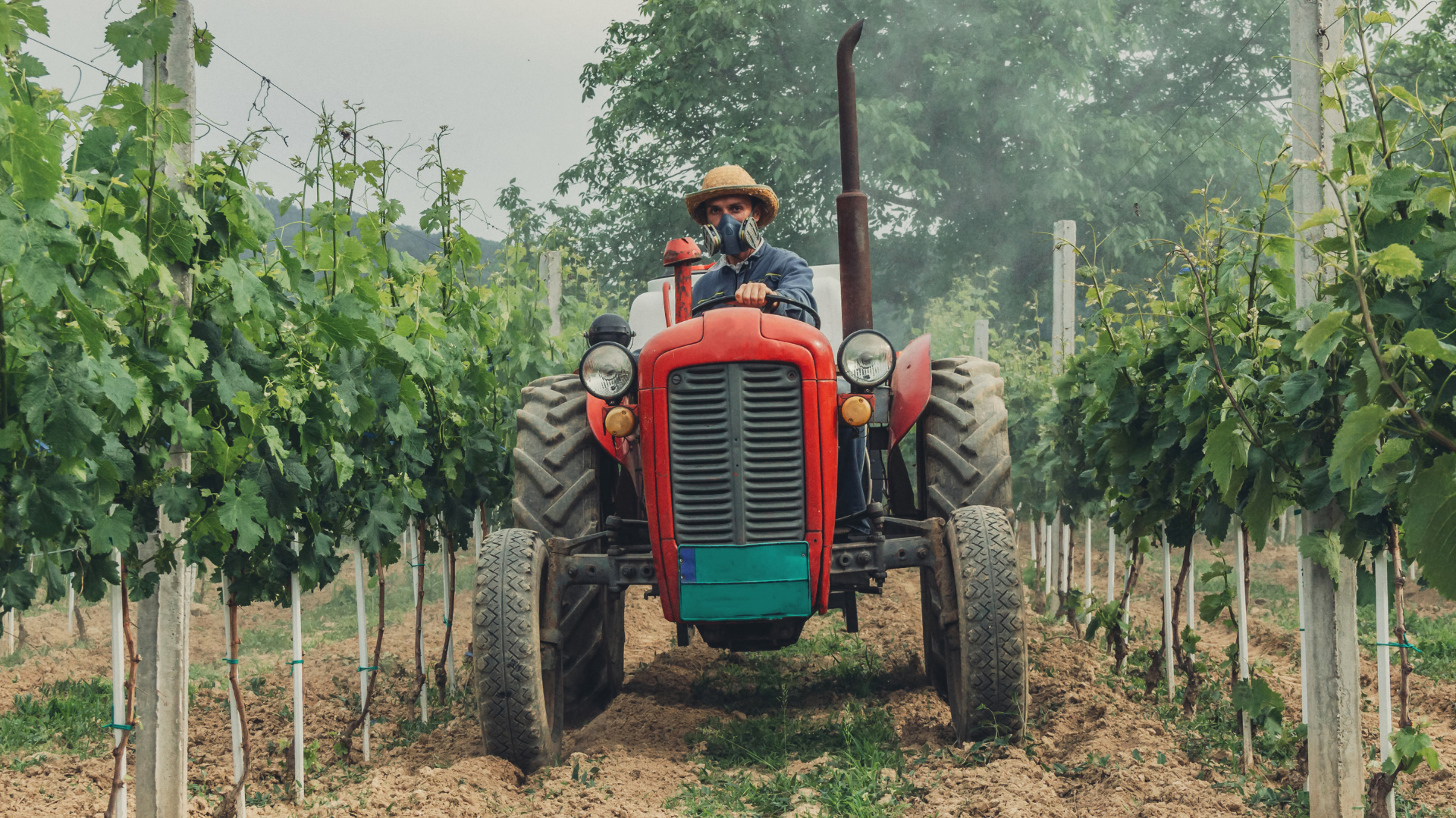 Représentation de la formation : VITICULTURE / Ouvrier polyvalent viticole - Option tractoriste - Prise en charge OCAPIAT