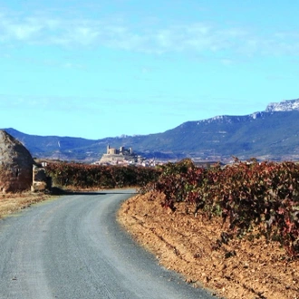 tourhub | Ibero Cycle Tours | La Rioja - The Descent of the River Ebro Cycling Tour. 