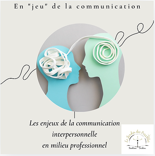 Représentation de la formation : ST-Les enjeux de la communication interpersonnelle en milieu professionnel 