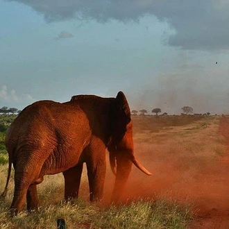 tourhub | KT & Safaris | 4 days Best of Kenya safaris (Tsavo east, Amboseli and Tsavo west.) 