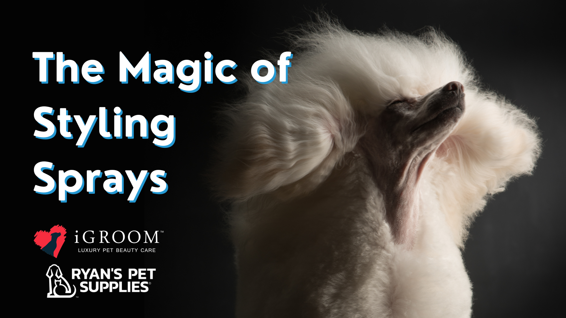 The Magic of Styling Sprays Featuring iGroom Leading Edge Grooming