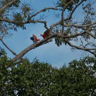 tourhub | G Adventures | Local Living Ecuador—Amazon Jungle 