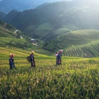 tourhub | World Expeditions | Northern Thailand Hike & Homestays 