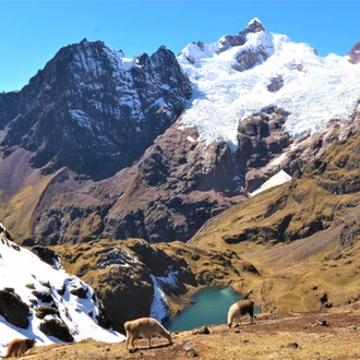 tourhub | TreXperience | Lares Trek to Machu Picchu 4 days 