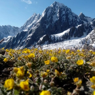 tourhub | Bamba Travel | Pakistan Hike Around The Giants 11D/10N 