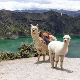 tourhub | Travel Department | Discover Ecuador & The Galapagos Islands - Unique Small Group 