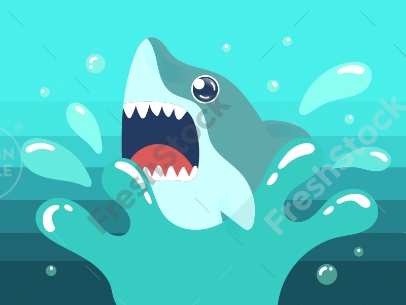 Cute Cartoon Shark – FreshStock