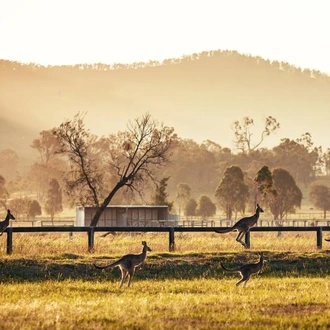 tourhub | Discovery Nomads | Australia Highlights 