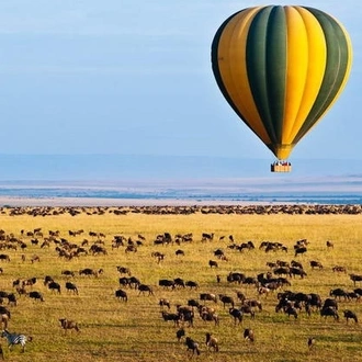 tourhub | Africa Endless Safaris and Holiday | Annual Great Migration Safari 