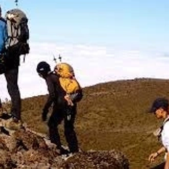 tourhub | Kilimanjaro Habitat Safaris | 6 Days Kilimanjaro Climb Marangu Route 