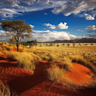 tourhub | ATC Namibia | Sossusvlei Region Short Break, Private Tour (On Request) 