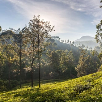 tourhub | Explore! | Walking in Sri Lanka 