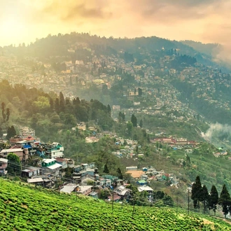 tourhub | Explore! | Discover Darjeeling and Bhutan 