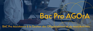 Représentation de la formation : BAC PRO - Assistance à la gestion des organisations et de leurs activités