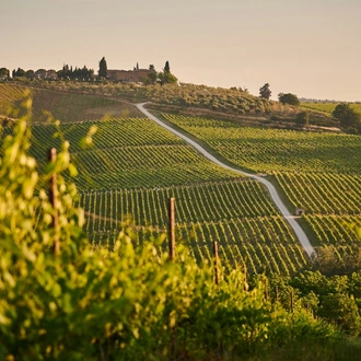 tourhub | Stile Italiano Tours | Wine Trails and Culinary Delights of Tuscany 