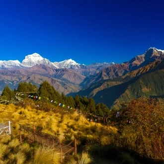 tourhub | Sherpa Expedition Teams | Ghorepani Poon Hill Trek 