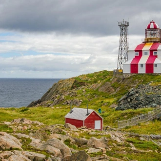 tourhub | Intrepid Travel | Newfoundland Adventure: Westbound 