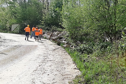 Représentation de la formation : Développer une démarche en faveur de la biodiversité dans une entreprise ou une organisation