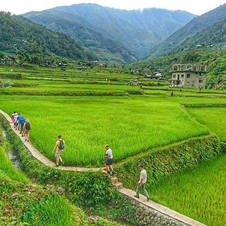 tourhub | Undiscovered Destinations | Philippines - Emerald Terraces of the Cordillera 