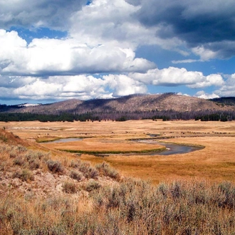 tourhub | Intrepid Travel | Hiking and Camping in Yellowstone 