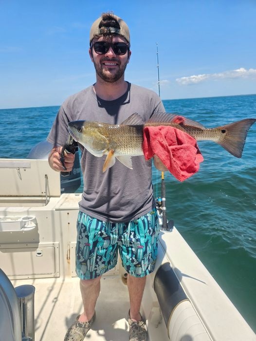 Spanish Mackerel and King Mackerel