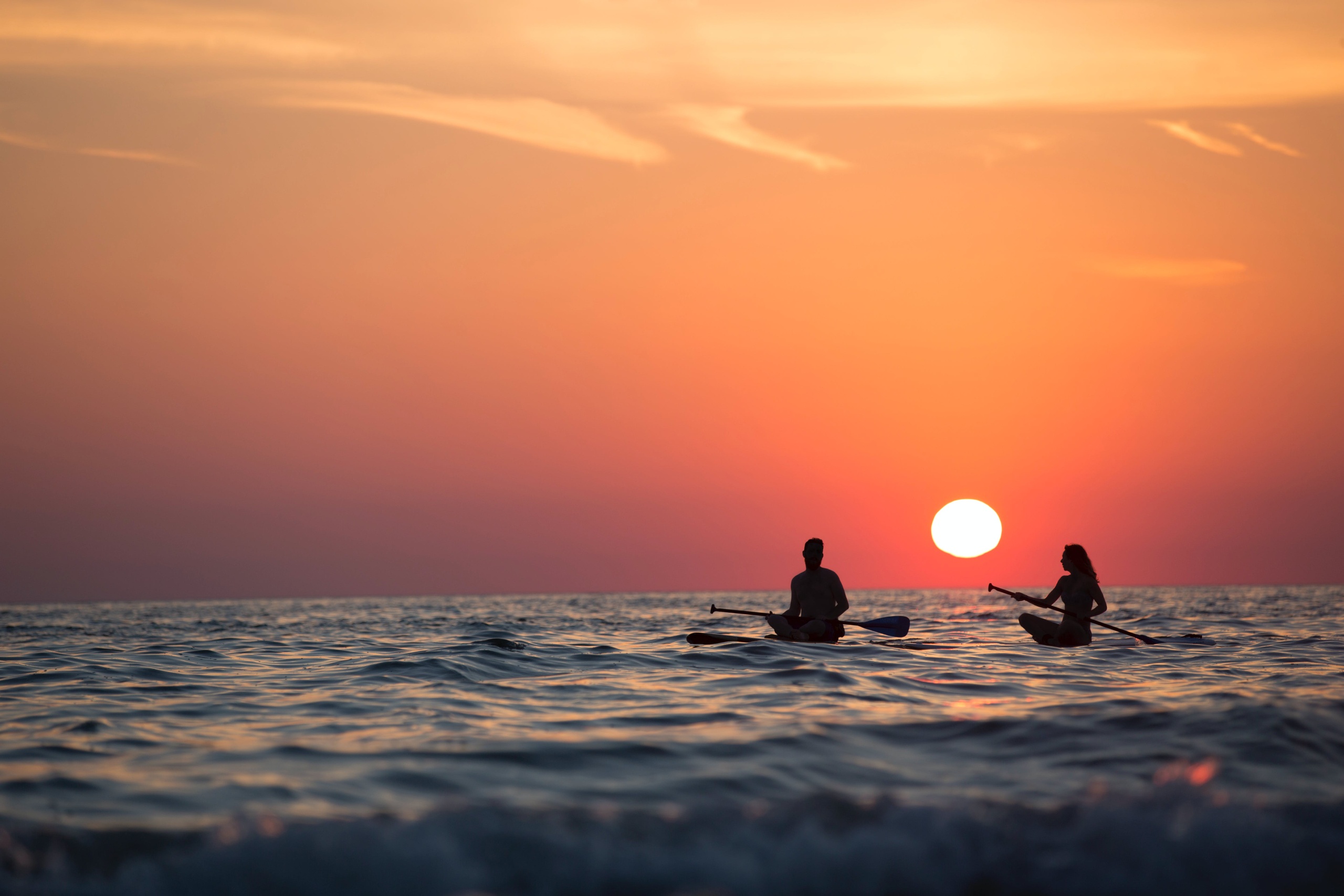 Anna Maria Island Ultra Premium Paddle Board Rentals image 1