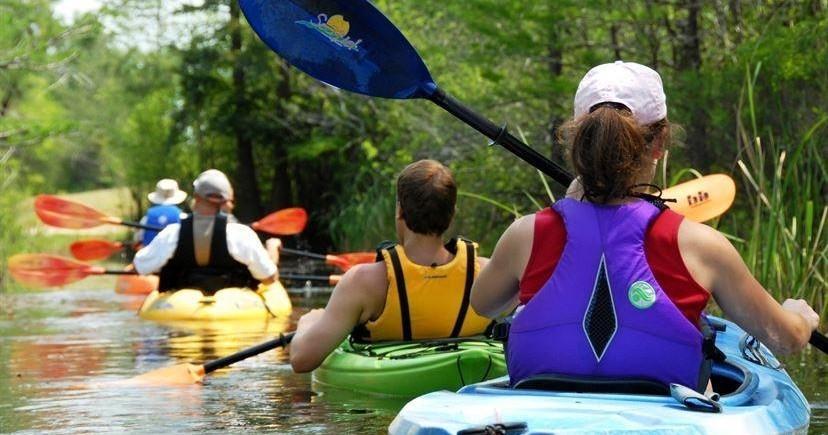 Kayak Tour (Anna Maria Island)