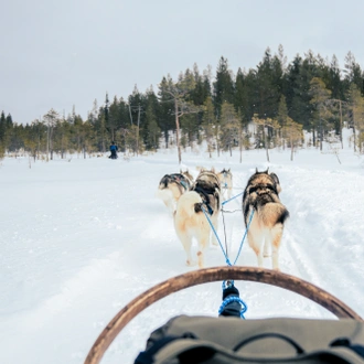 tourhub | Exodus Adventure Travels | Finnish Wilderness Week 