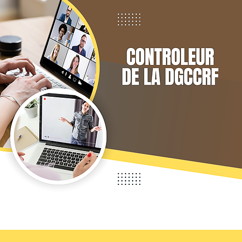 Représentation de la formation : Préparation au concours externe de Contrôleur de la DGCCRF