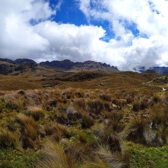 tourhub | Ecuador Wonders | Nature Mainland Ecuador Small Group Tour 