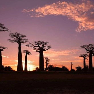 tourhub | Wild Frontiers | Madagascar Encompassed 