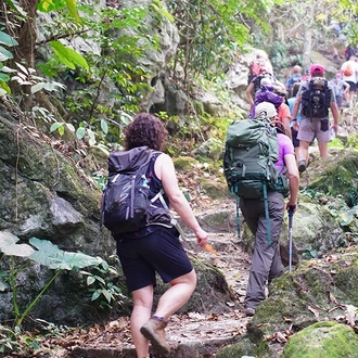 tourhub | Mr Linh's Adventures | Tham Phay cave expedition & Jungle trekking 4 days 3 nights 