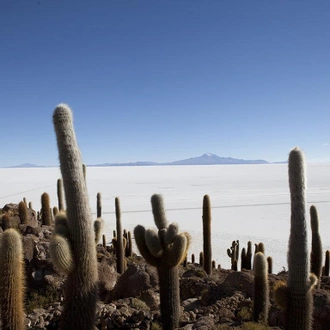 tourhub | Bamba Travel | Salta to La Paz Salt Flats Adventure 10D/9N 