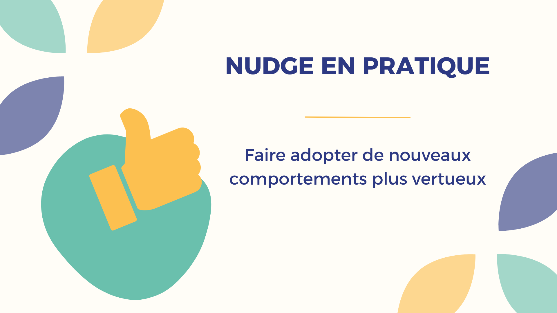 Représentation de la formation : NUDGES EN PRATIQUE