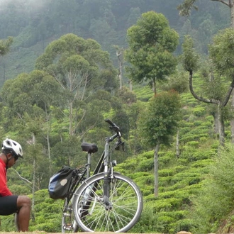 tourhub | Explore! | Cycle Sri Lanka 