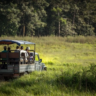 tourhub | Cordial Trek Pvt. Ltd | Chitwan Jungle Safari Tour 