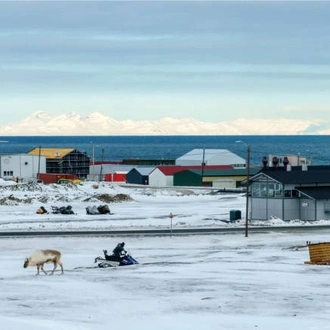 tourhub | World Expeditions | Crossing the Arctic Circle, Jan Mayen & Svalbard 