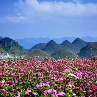 tourhub | Mr Linh's Adventures | Off the beaten tracks North Vietnam 8 days 7 nights 