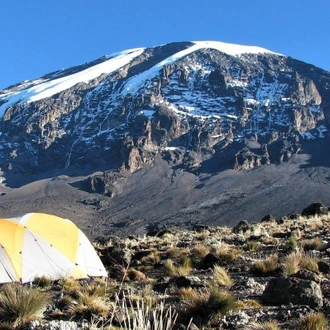 tourhub | Spider Tours And Safaris | 9 Days Kilimanjaro Climb Northern Circuit Route 