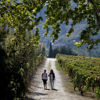 tourhub | Authentic Trails | Douro Wine Region Wine and Food Lovers 