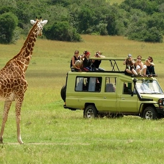 tourhub | Gracepatt Ecotours Kenya | 6-Day Tanzania Camping Safari: Lake Manyara, Serengeti, Ngorongoro Cater and Tarangire National Park from Arusha 