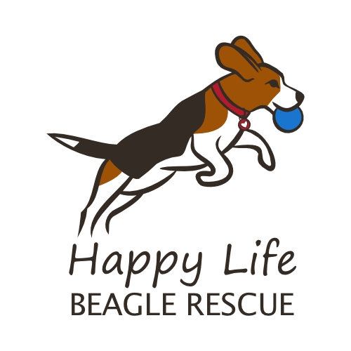 Happy Life Beagle Rescue Inc logo