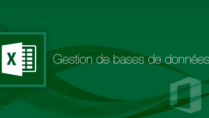 Représentation de la formation : Formation logiciel Excel-Tableaux croisés dynamiques