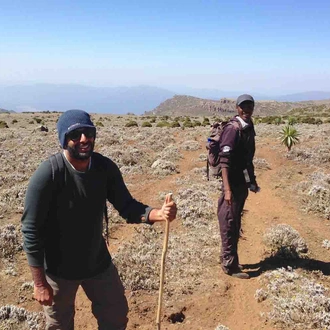 tourhub | YellowWood Adventures | Trekking and wolf-spotting in the Bale Mountains of Ethiopia 