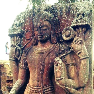 tourhub | Agora Voyages | Odisha Temple & Mangrove Forest 