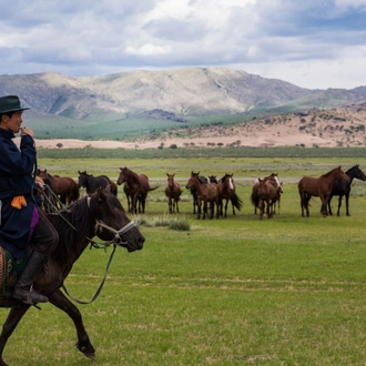 tourhub | Tour Mongolia | Essence of Mongolia - 4 Days 