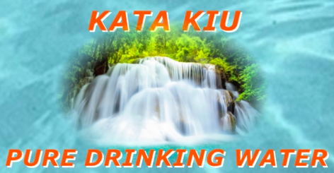 Kata Kiu Spring Water Ltd logo