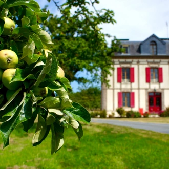 tourhub | Exodus Adventure Travels | Normandy Walk from Deauville to Bayeux 